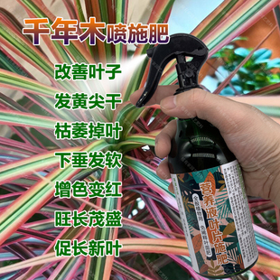 千年木专用肥料绿植物七彩铁营养液增色变红旺长茂盛长新叶面肥料