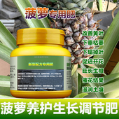 菠萝专用肥料种植盆栽金钻菠萝苗凤梨树苗营养液叶面肥水溶化肥料