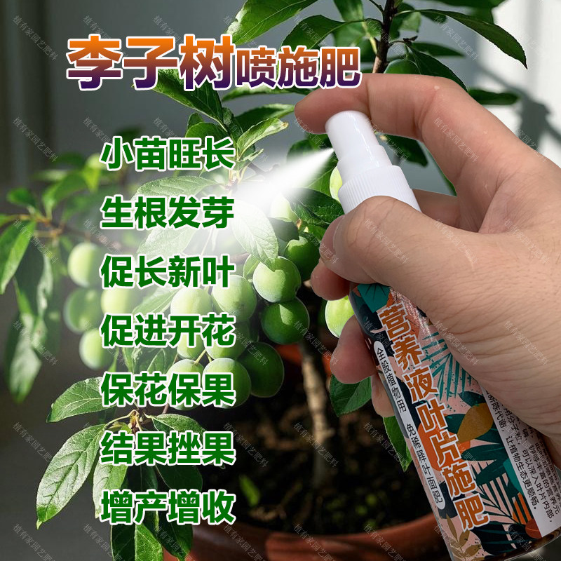 李子树专用肥料李子果树营养液开花保花保果结果挫果增产增收肥料,鲜花速递/花卉仿真/绿植园艺,家庭园艺肥料,淘宝优惠券,粉丝福利购,淘宝优惠卷
