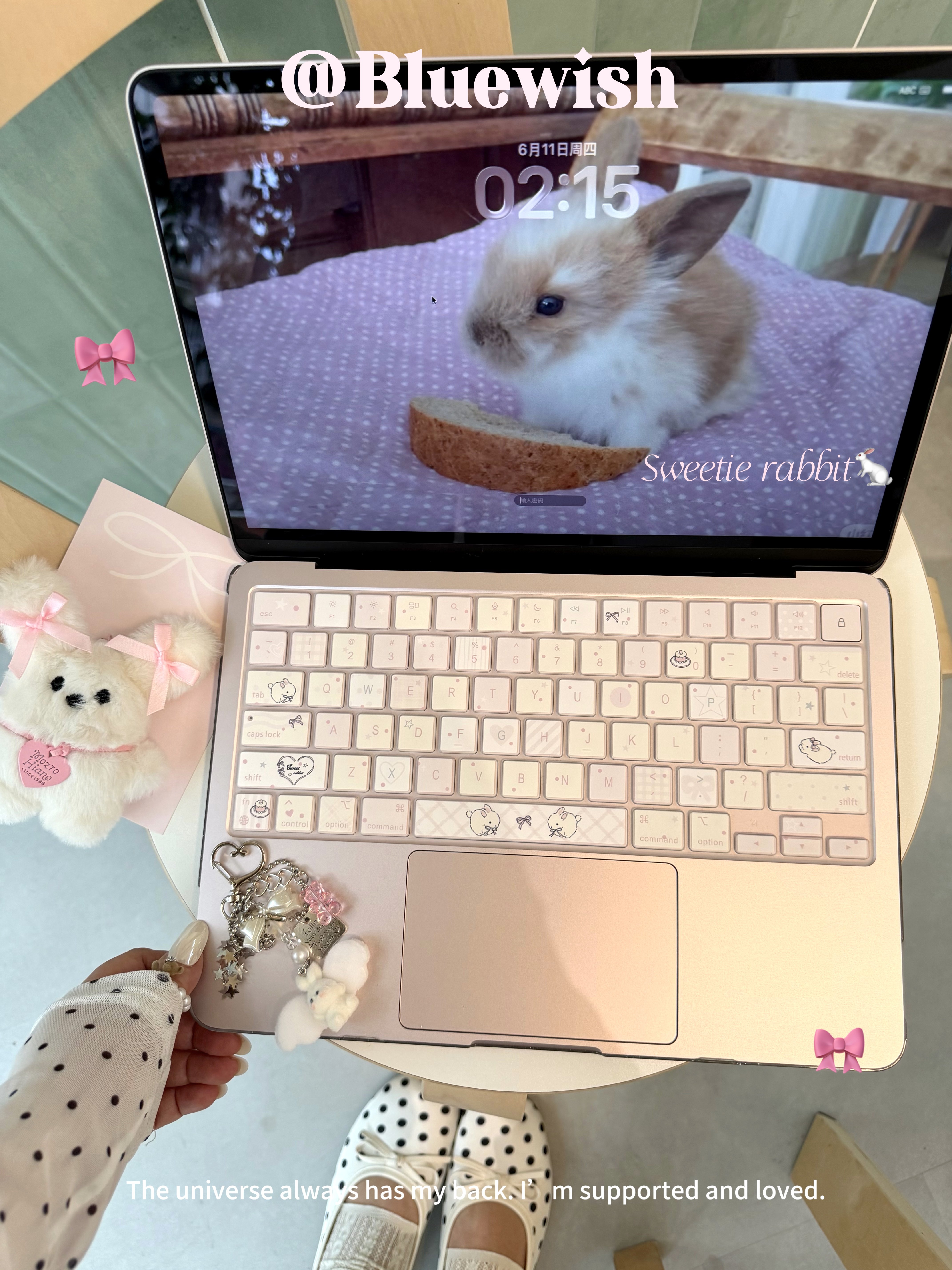 Bluewish波点兔兔苹果电脑键盘膜Macbookpro防水neo防污air1314