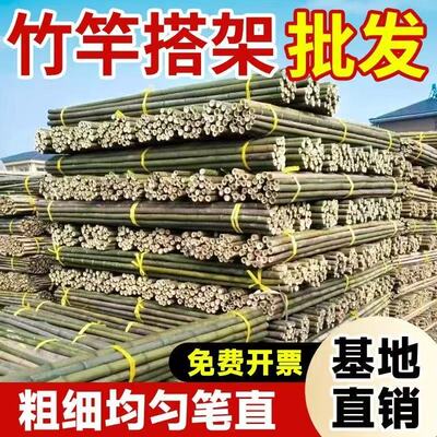 竹杆批发蔬菜爬藤竹竿支架竹杆棍菜园搭架豆角篱笆栅栏彩旗细竹子