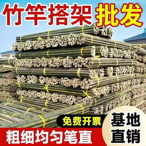 竹竿菜园搭架蔬菜爬藤竹竿批发支架棍豆角竹杆篱笆栅栏彩旗细竹子