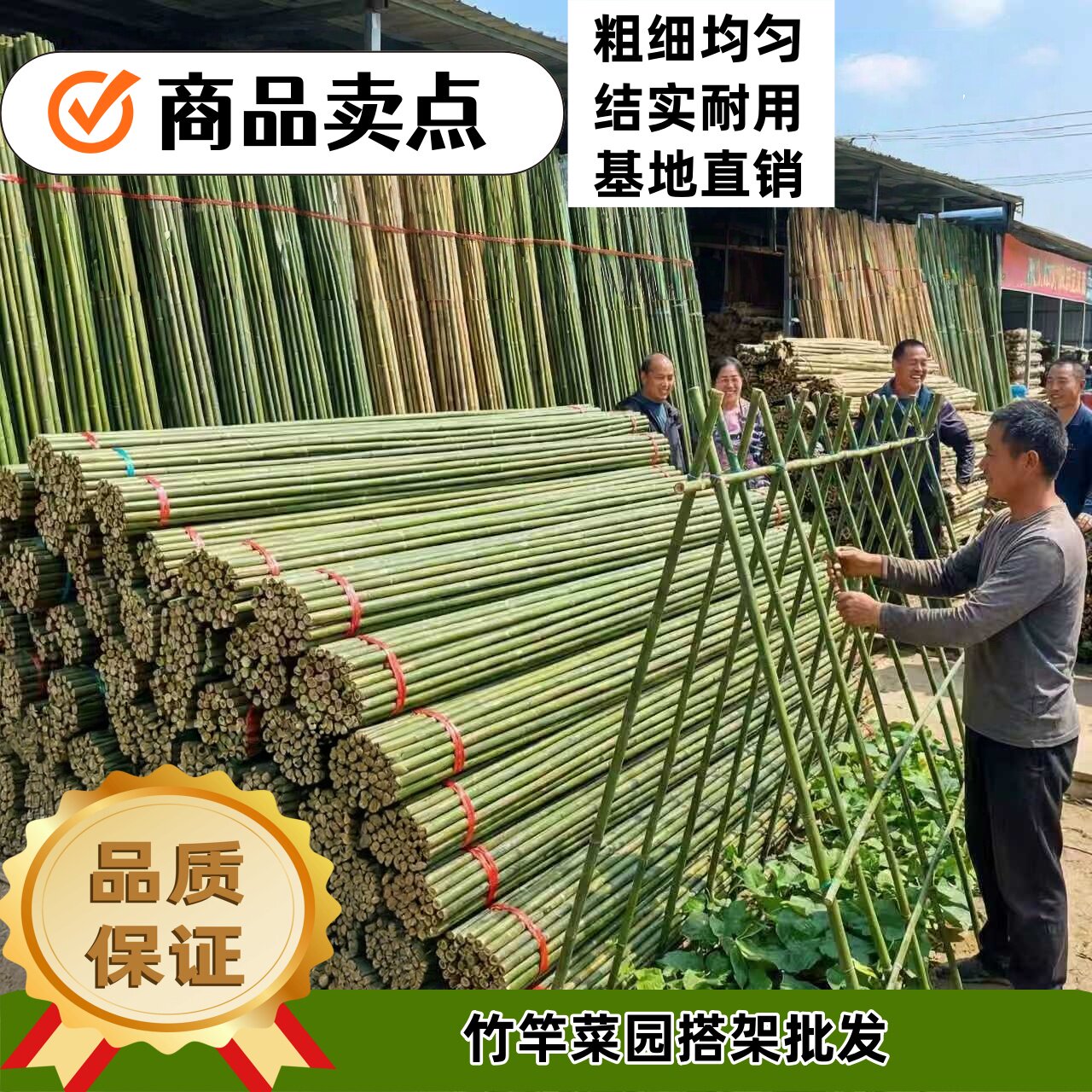 竹竿菜园搭架蔬菜黄瓜番茄豆角架杆竹篱笆栅栏小竹子细竹竿葡萄架