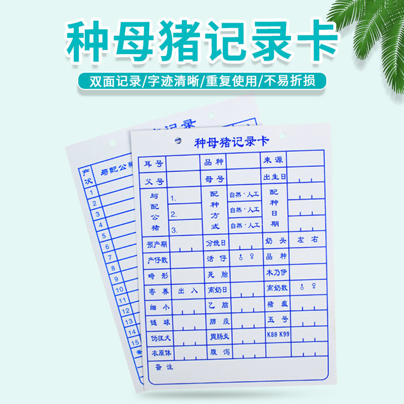 pvc种母猪记录卡档案卡