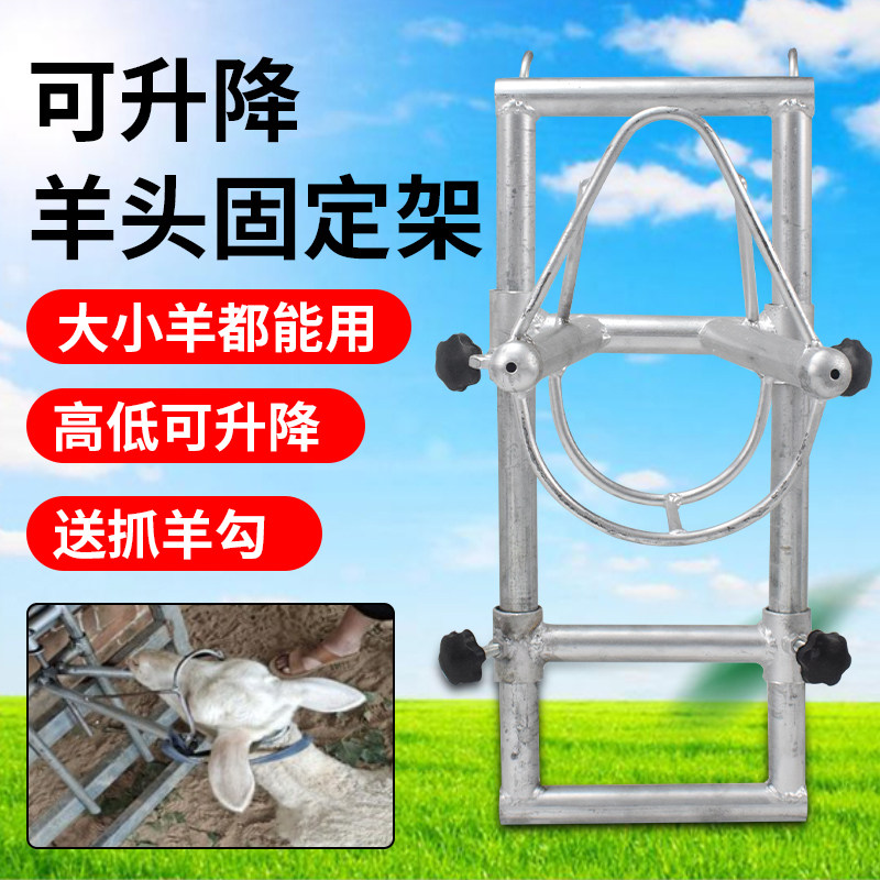羊用固定架剪羊毛羊头架子升降挤奶羊笼头抓羊剃毛推毛修蹄固定器