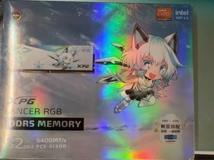 威刚吹雪天选姬联名32G×2 DDR5 6400mzh【公司组电脑余货】