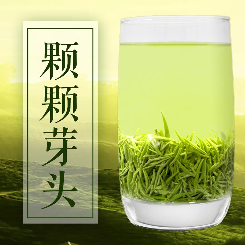 毛尖茶葉春茶信陽毛尖2018新茶散裝特級嫩芽清香型明前綠茶250g