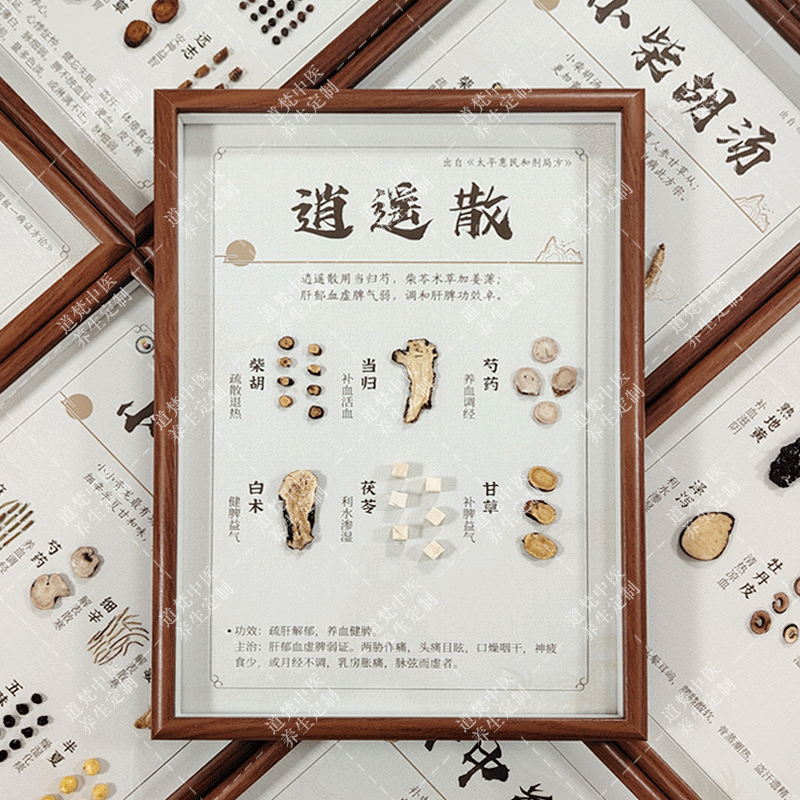 中医方剂标本中药展示墙