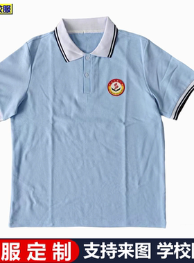 伊通实验小学校服短袖夏款纯棉半袖浅蓝色中小学生polo衫来图定制