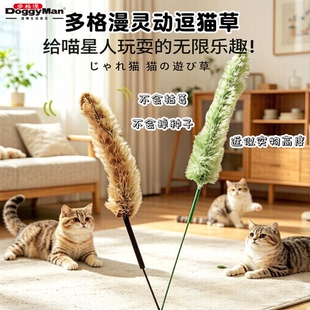 Doggyman多格漫灵动逗猫草狗尾巴草逗猫棒日本进口逗猫杆2支装