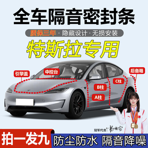 特斯拉焕新ModelY/3ABC柱密封条