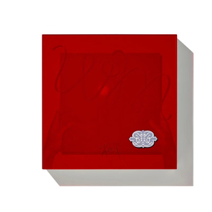 官方正版 肖战黑胶唱片我们实体专辑lp写真海报明信片小卡