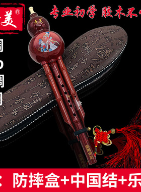 奇美葫芦丝乐器c调降b调防摔小学生儿童入门初学成人专业g调f调