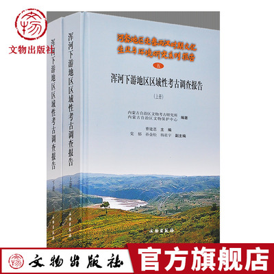 浑河下游地区区域性考古调查报告 上下册 河套地区先秦两汉时期文化生业与环境研究  文物出版社官方旗舰店