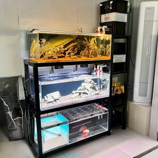 周转箱过滤鱼缸架子双层三层高承重支持定制L型高低架兰寿蝴蝶鲤