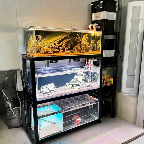 L型高低架周转箱过滤鱼缸架子