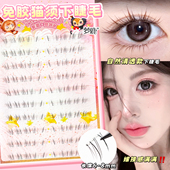 梦鹿免胶 2025 猫系自然上镜清透美睫师推荐 猫须下睫毛 自然