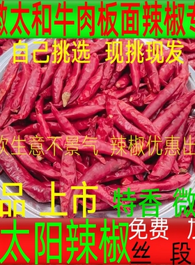 红太阳干辣椒板面专用香辣食用10斤微辣朝天辣椒面段丝牛肉板面料