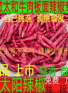 红太阳干辣椒板面用面微辣特香