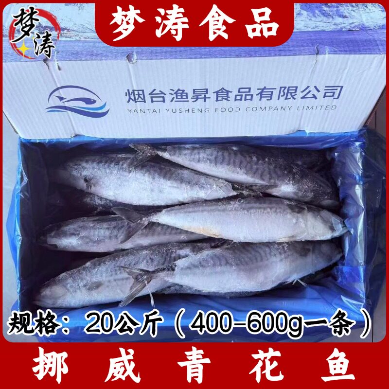 挪威青花鱼400g-600g一条20公斤整箱日式烧烤香煎冷冻鲭鱼片商用