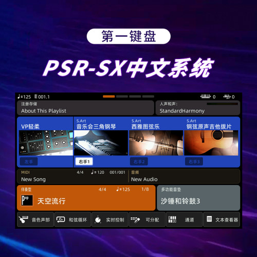 中文系统SX900SX700更便利