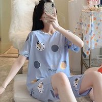 W Двойной короткометражный круг круга RADIS