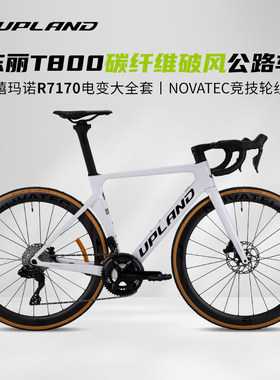 UPLAND阿普兰生肖猴碳纤维自行车破风105电变Di2大套竞赛超轻