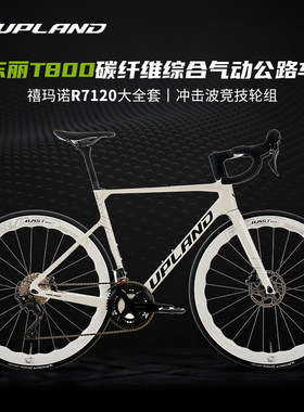 UPLAND阿普兰雷神air综合气动自行车油压碟刹白色全碳纤维公路车