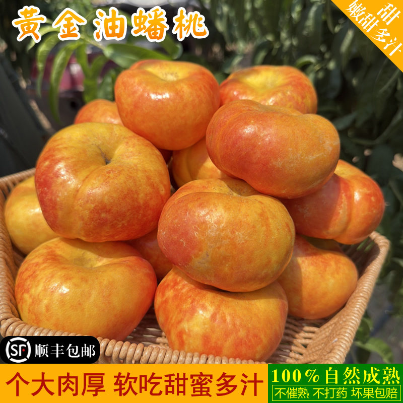 顺丰包邮陕西彩虹黄金油蟠桃5斤新鲜包邮当季水果现摘水蜜桃子