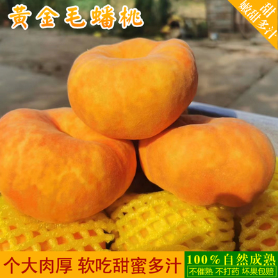 陕西彩虹黄金毛蟠桃可撕皮爆汁