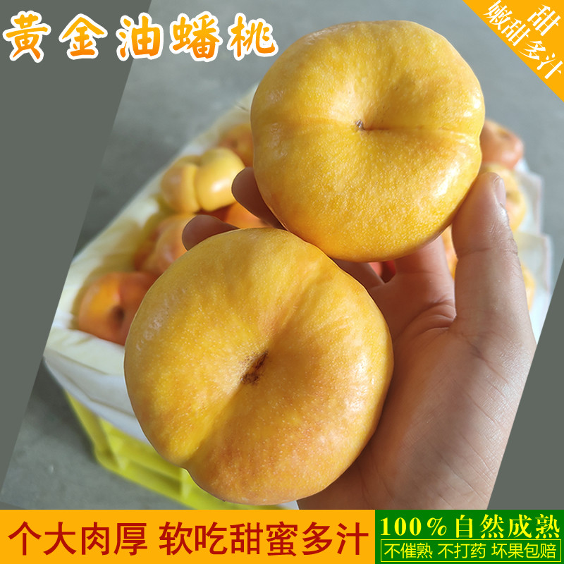 陕西彩虹黄金油蟠桃当季水果现摘