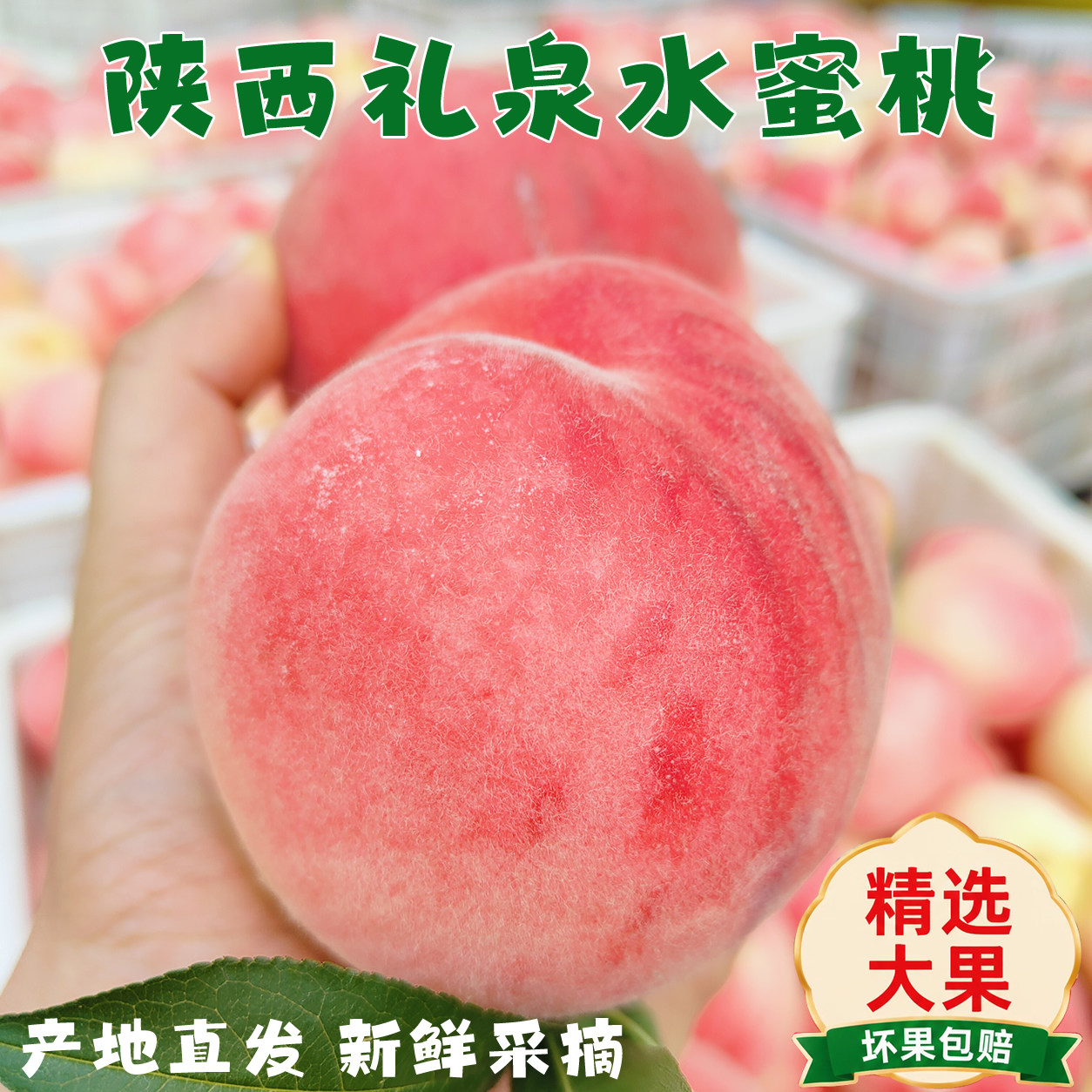 陕西礼泉脆甜水蜜桃精品