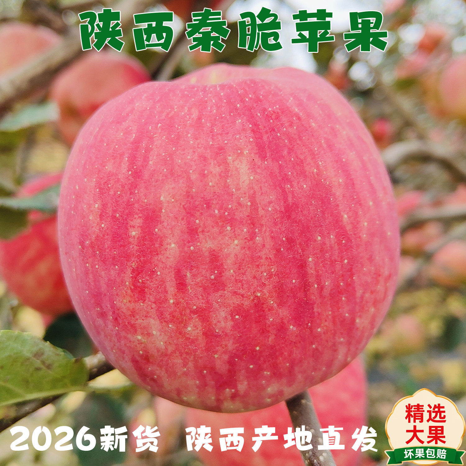 陕西正宗秦脆苹果香脆
