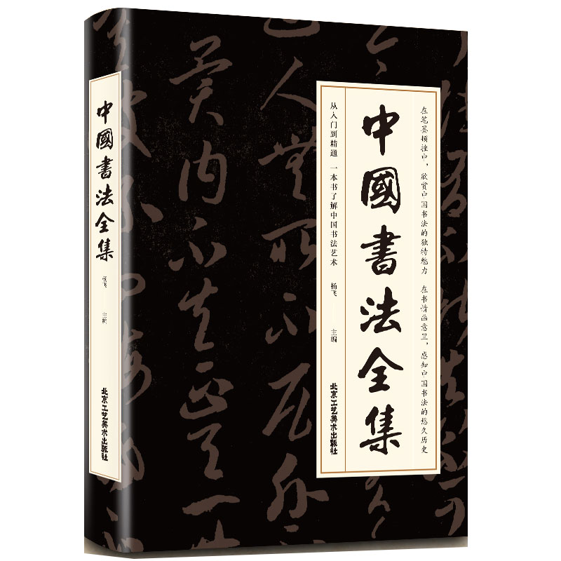 珍藏版中国书法大全中国书法全集书法字帖初学入门书法临摹中国书法发展知识全解中国书法一本通中国书法简史中国书法发展史