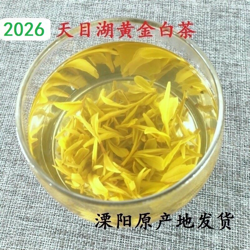 溧阳天目湖特级黄金新品