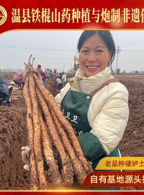 牛卫卫非遗垆土铁棍山药5斤整箱新鲜现挖正宗河南焦作温县怀山药