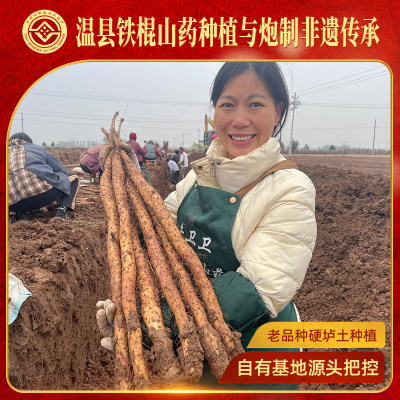 牛卫卫正宗河南焦作温县非遗山药