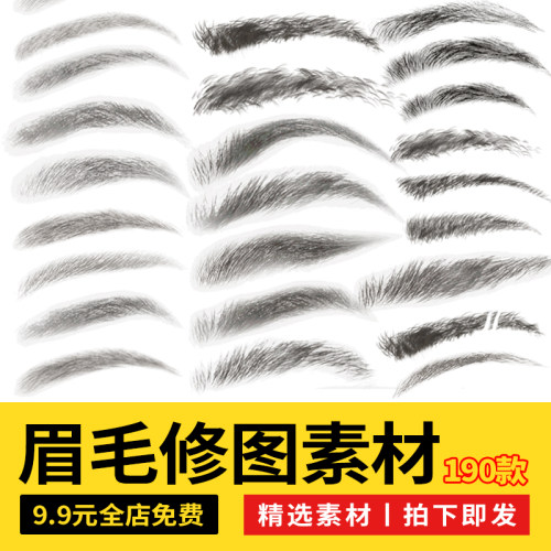 证件照人脸修图妆容眉毛贴图PNG免抠透明图片PS五官眉毛修图素材
