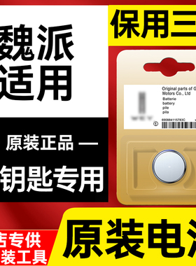 适用长城魏派汽车钥匙电池vv6 vv5 VV7gt P8新能源w7c原装遥控器