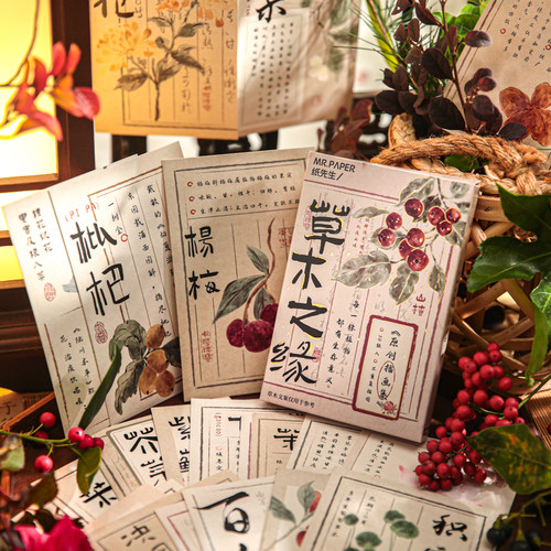 纸先生草木之缘盒装明信片