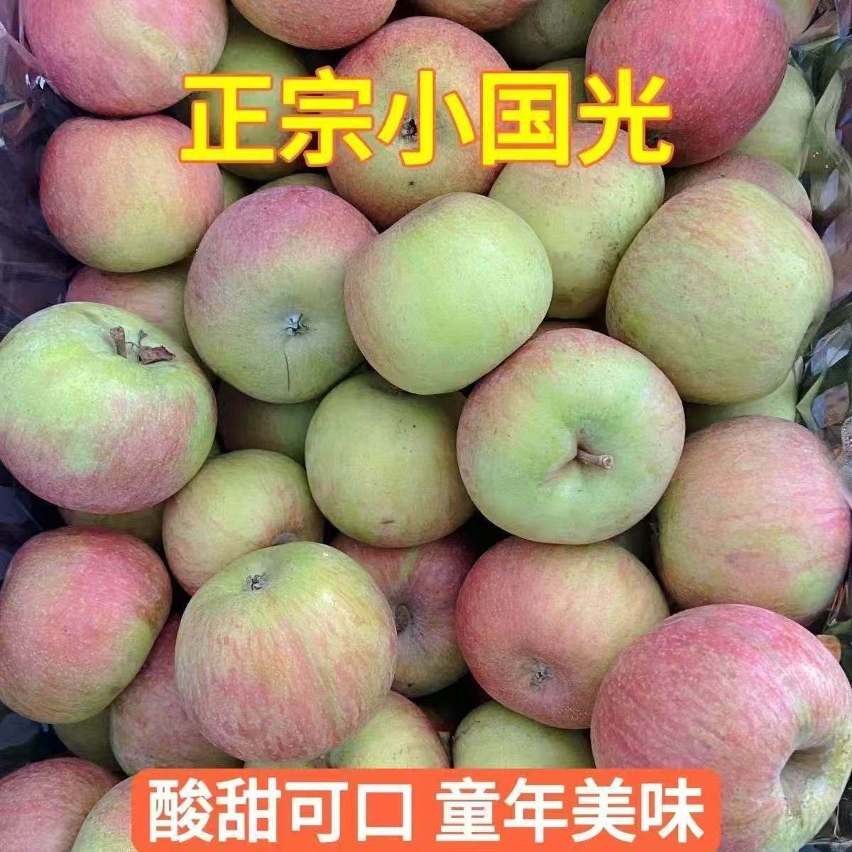 正宗2025东北国光苹果小苹果冰糖新鲜红富士特产孕妇整箱水果
