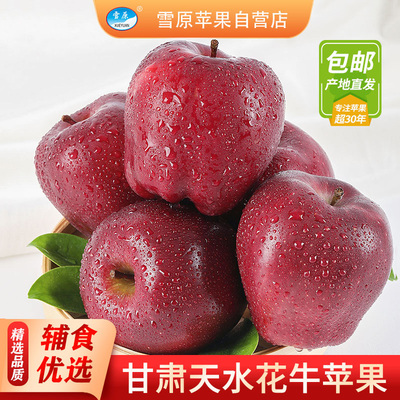 雪原甘肃天水花牛苹果当季新水果