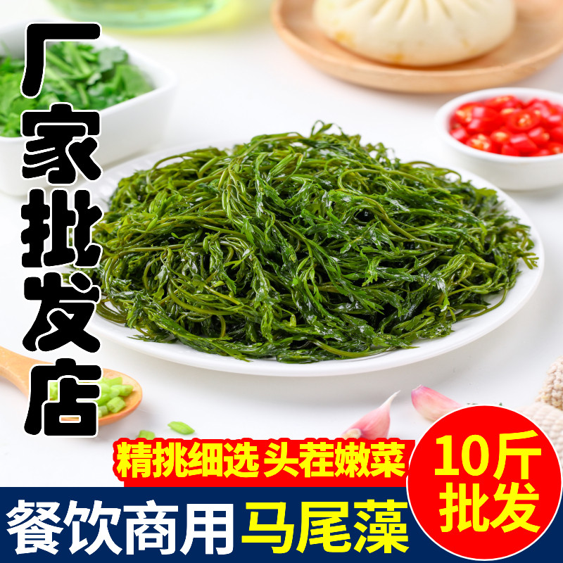 新鲜马尾藻10斤整箱盐渍鞭炮笋长寿菜涮火锅食材羊栖菜海草火炮菜
