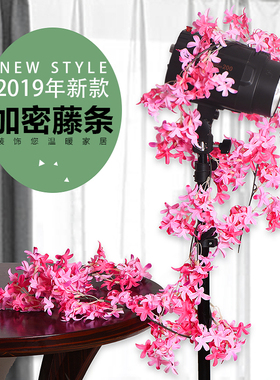 樱花空调遮挡植物塑料管子藤条