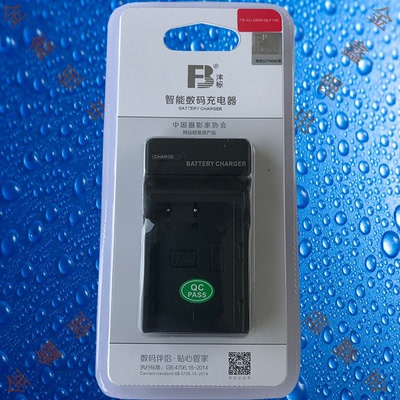 沣标DMW-BLF19E/GK松下DC-GH3/GH4/GH5/GH5S/G9LGK相机电池充电器