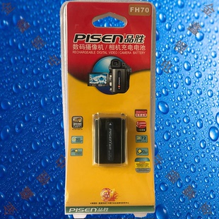 FH30 FH70索尼NP FH50 FH60 FH100相机电池 品胜TS FH70 DV001