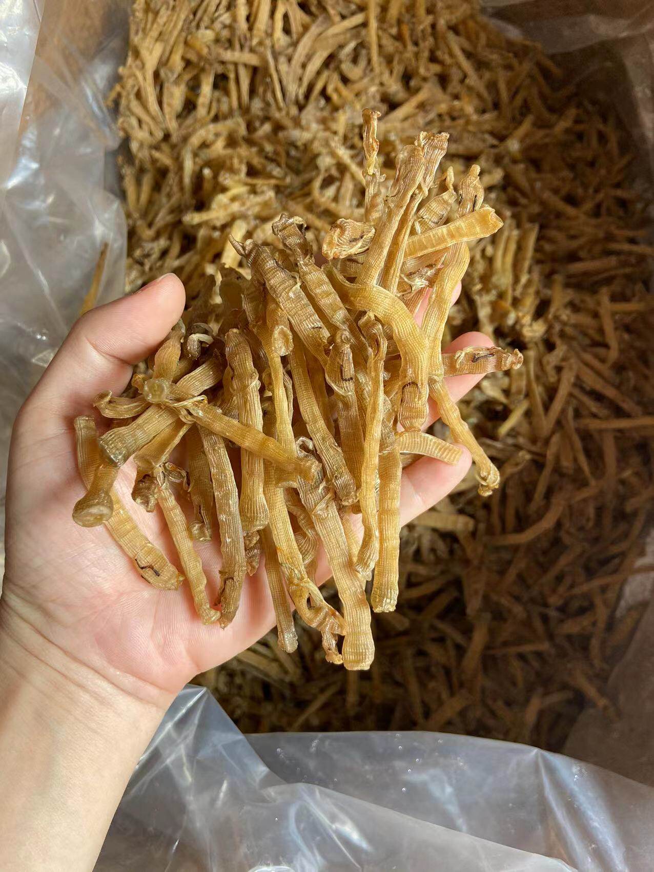 野生沙虫 自晒沙虫干 海鲜干货 海人参  方格星虫干 海肠子