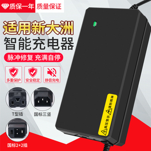 适用新大洲电动车充电器48V12AH60v20ah72v电瓶车铅酸电池石墨烯