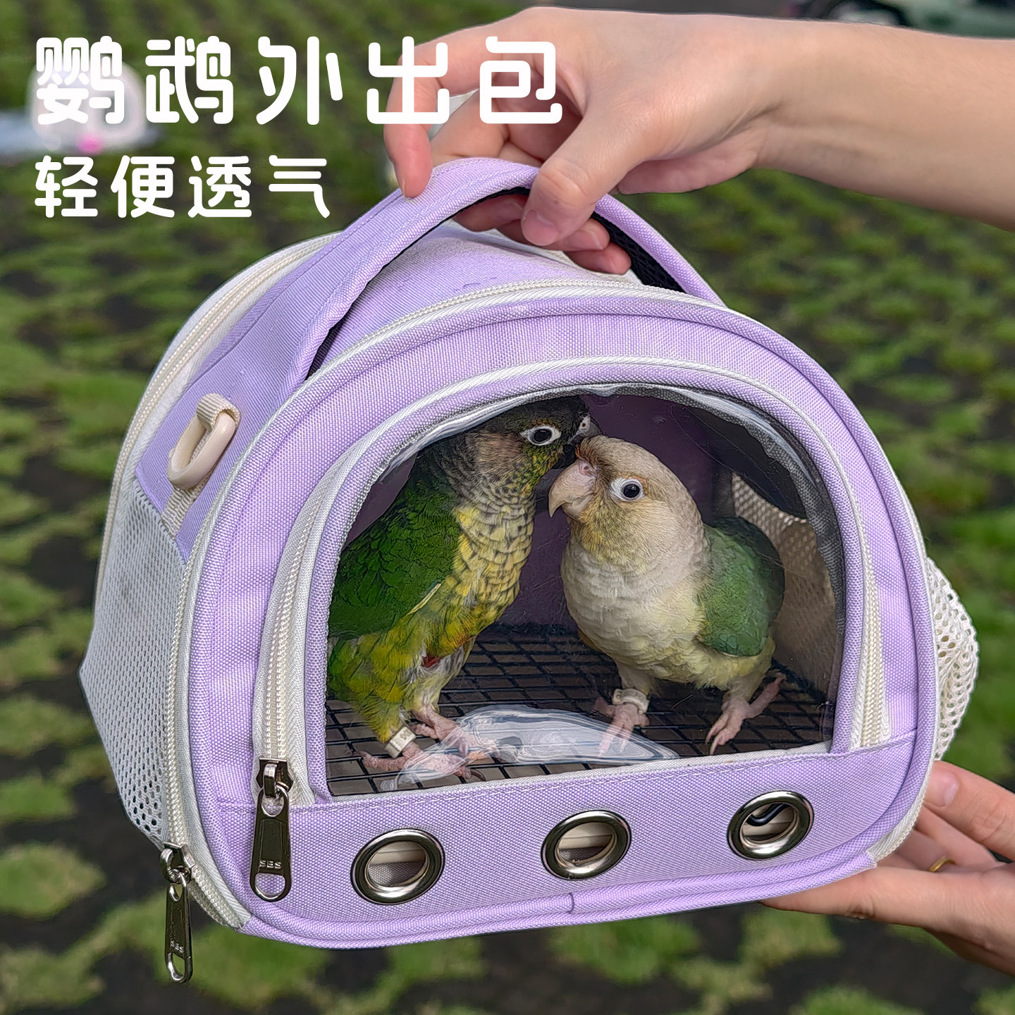 鹦鹉外出包便携鸟包小太玄风牡丹虎皮和尚外带手提斜挎出行鸟笼图片