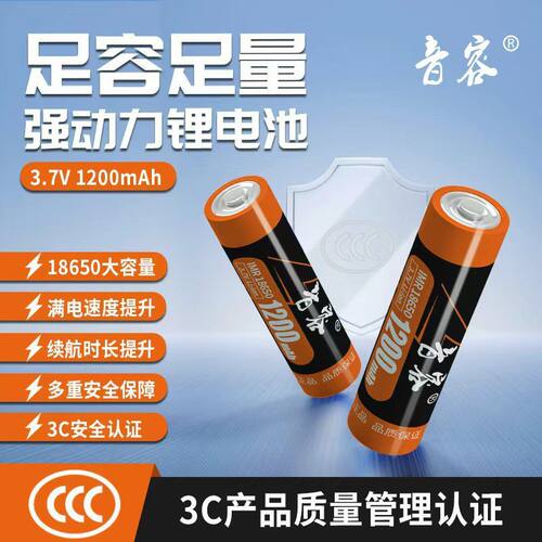 小音箱收音机充电式18650锂电池